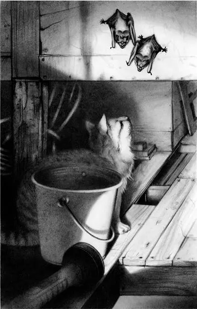 The human said nothing positioned the bucket and shivered a bit The - фото 24