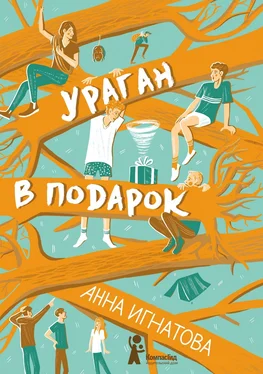 Анна Игнатова Ураган в подарок обложка книги