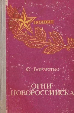 Сергей Борзенко Огни Новороссийска [Повести, рассказы, очерки] обложка книги