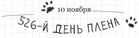 Это просто смешно Представьте себе что Марк и Северина называют друг друга - фото 3