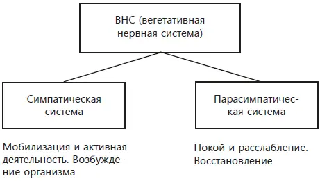 Если мы очень уставшие придем с работы сядем в кресло чтобы отдохнуть - фото 3