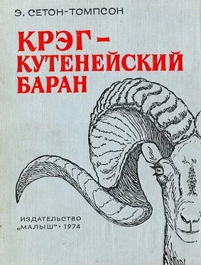 Эрнест Сетон-Томпсон Крэг - кутенейский баран [с иллюстрациями] обложка книги