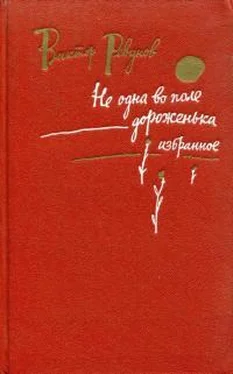 Виктор Ревунов Не одна во поле дороженька обложка книги