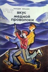 Геннадий Черкашин - Вкус медной проволоки