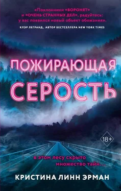 Кристина Эрман Пожирающая Серость [litres с оптимизированными иллюстрациями] обложка книги