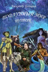 Александр Цепицын - Путник [СИ]