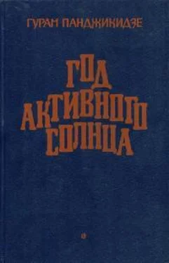 Гурам Панджикидзе Год активного солнца обложка книги