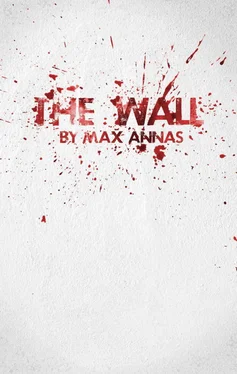 Max Annas The Wall обложка книги