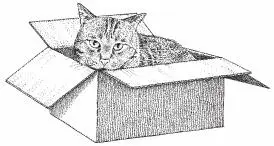 The following morning I crept downstairs early The cardboard box had been - фото 9