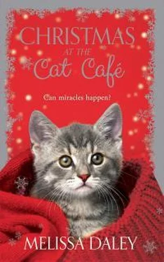 Мелисса Дэйли Christmas At The Cat Cafe обложка книги