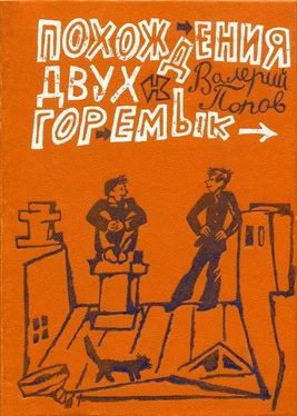 Валерий Попов Похождения двух горемык обложка книги