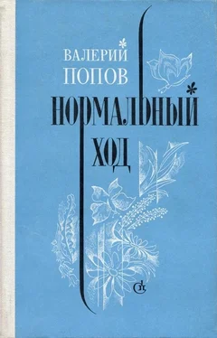 Валерий Попов Нормальный ход [Повести, рассказы] обложка книги