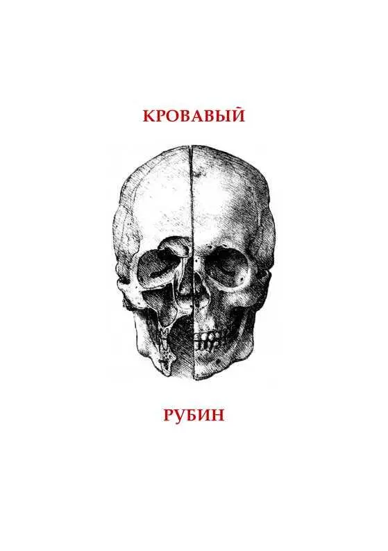 Рене Гибо ЧУДОВИЩА ВОЗДУХА Когда я узнал из вечерней газеты о несчастье - фото 3