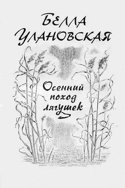 Белла Улановская Осенний поход лягушек обложка книги
