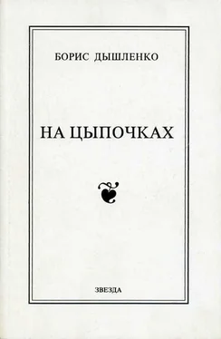 Борис Дышленко На цыпочках обложка книги