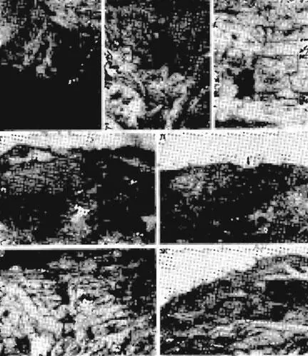 Массив Фишт и элементы его рельефа а общий вид массива с востока б - фото 35