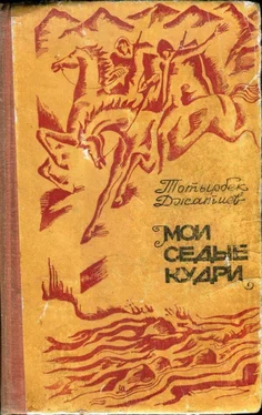 Тотырбек Джатиев Мои седые кудри обложка книги