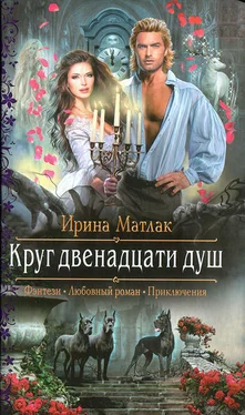 Ирина Матлак Круг двенадцати душ обложка книги