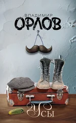 Владимир Орлов - Усы - сборник рассказов, эссе, интервью