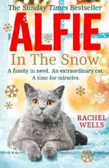 Рейчел Уэллс - Alfie In The Snow