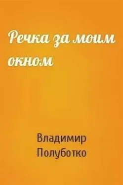 Владимир Полуботко Речка за моим окном обложка книги
