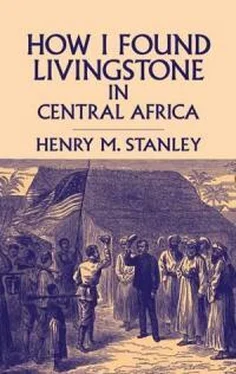 Генри Стенли How I Found Livingstone обложка книги