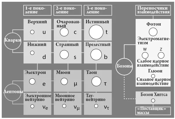 Рис 82 Стандартная модель наши современные представления о строительных - фото 21
