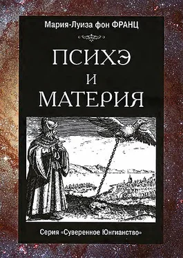 Мария-Луиза Франц Психэ и материя обложка книги