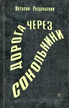 Виталий Раздольский Дорога через Сокольники [Пьесы] обложка книги