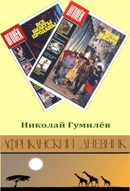 Николай Гумилев Африканский дневник обложка книги