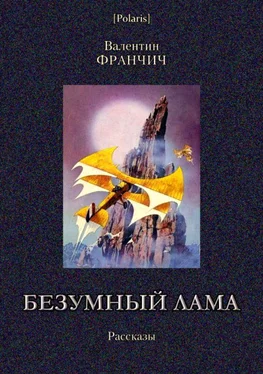 Валентин Франчич Безумный лама обложка книги