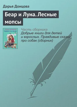 Дарья Донцова Беар и Луна. Лесные мопсы обложка книги