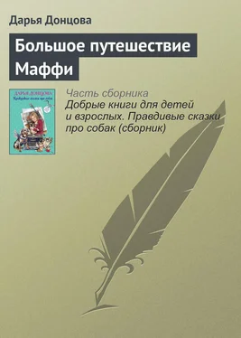 Дарья Донцова Большое путешествие Маффи обложка книги