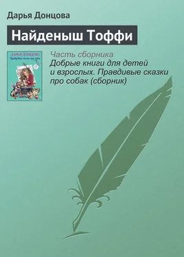 Дарья Донцова Найденыш Тоффи обложка книги