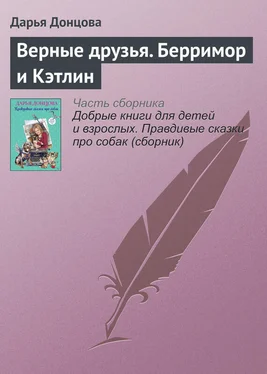 Дарья Донцова Верные друзья. Берримор и Кэтлин обложка книги