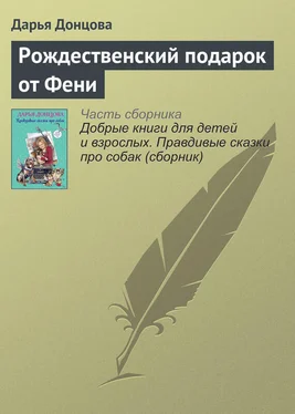 Дарья Донцова Рождественский подарок от Фени обложка книги