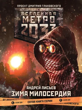 Андрей Лисьев Метро 2033: Зима милосердия [litres] обложка книги