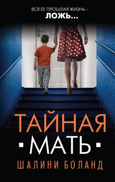 Шалини Боланд Тайная мать [litres] обложка книги