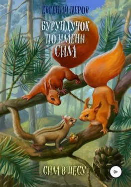 Евгений Перов Бурундучок по имени Сим. Сим в лесу обложка книги