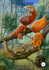 Евгений Перов - Бурундучок по имени Сим. Сим в лесу