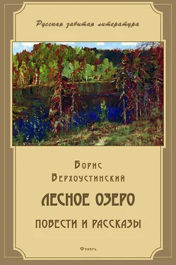 Борис Верхоустинский Лесное озеро (сборник) обложка книги