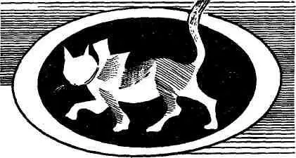 Федору Хруслову вскоре после Нового года срочно понадобился котенок маленький - фото 14