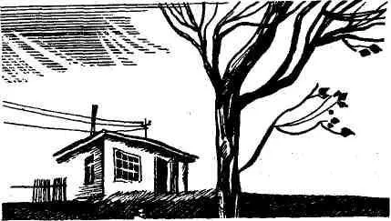 В Москве пожалуй как ни в одном другом городе конечно если не брать во - фото 22