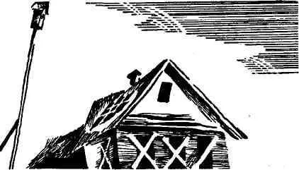 Страсть Егора Саввича к грибам хорошо известна в производственном объединении - фото 23