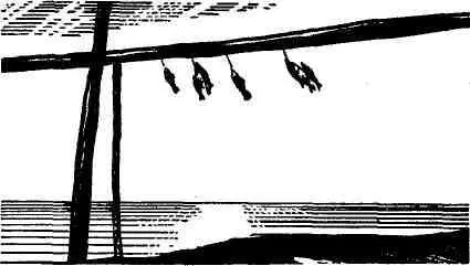 Азовский бычоккругляк с латинской фамилией Neogobius melanostomus жил недалеко - фото 24