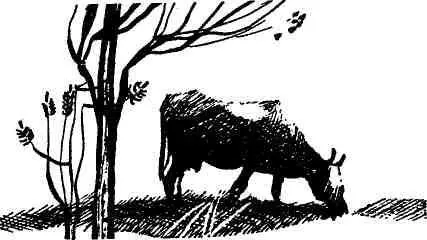 1 За окраиной города в котором я вырос за железной дорогой есть луг - фото 6