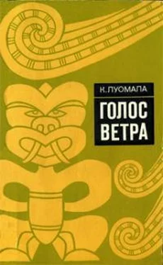 Катарина Луомала Голос ветра обложка книги