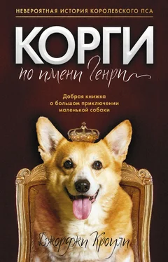 Джорджи Кроули Корги по имени Генри обложка книги