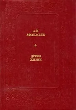 Александр Афанасьев (классик) Древо жизни обложка книги