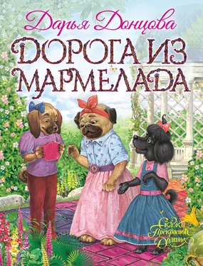 Дарья Донцова Дорога из мармелада обложка книги